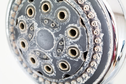 Close-up of a showerhead with visible white mineral deposits and limescale buildup around the spray nozzles.